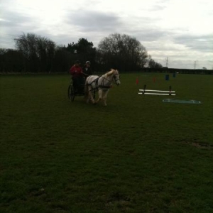 trotting on