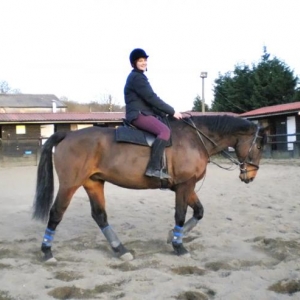 Me on Charlie in a borrowed saddle - he has his own!