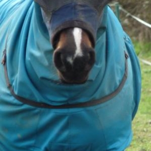 The cornerstone mask gives lots of clearance around her eyes