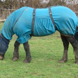 Jess in her Cornerstone browbands sweet itch rug