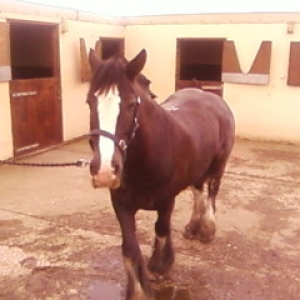 Shadow 11th April 2010