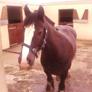 Looking good! he says LOL!