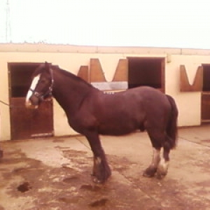 Shadow April 10
