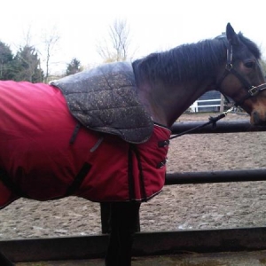 Rugged up