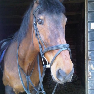 I love this pic of him <3