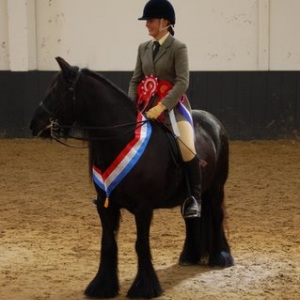 Donna Supreme Champion