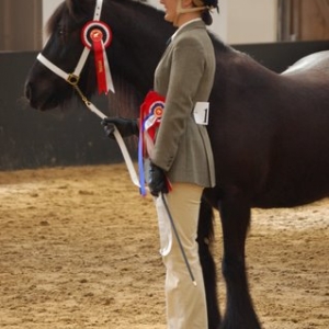 Inhand Champion
