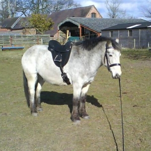 Before Lunging