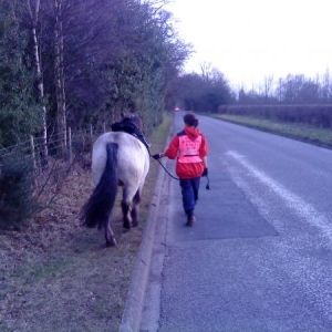 Road Walk