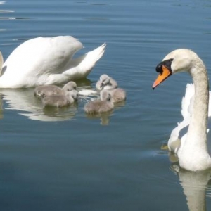 Proud mommy and daddy (and me)