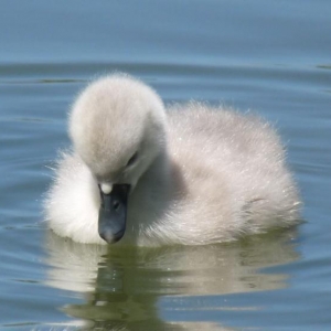 Apologies for hogging the gallery. Well, they deserve it. Don't they?