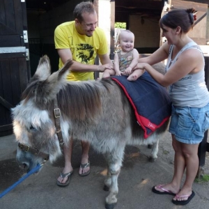 We had a welcome visitor to Thistledown yesterday, Charlia, 8 months old from Australia, my sisters grandaughter. What a happy little soul, she loved the animals, loved riding on Charlotte and she sings, laaa laa laaa, constantly, that's when she's not smiling. In australia they have singing sessions for parents and babies, a bit like mothers and toddlers groups here. What a happy little girl.