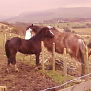 Bailey and friend