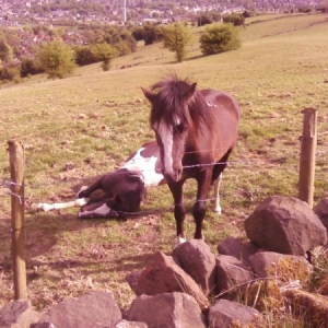 Both fast asleep