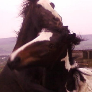 Play time :)