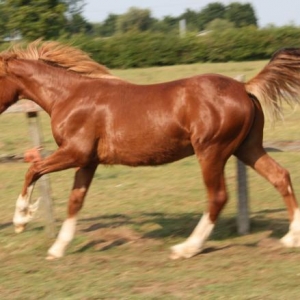June 2010