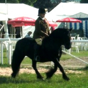 Eva at a show
