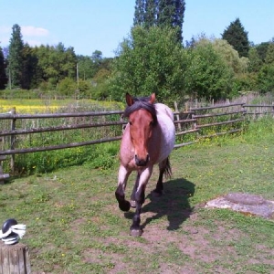 Having a runabout!
