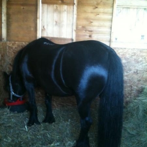 Eva.....big bottom girls ;-)