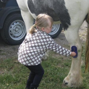 Back leg no problem-