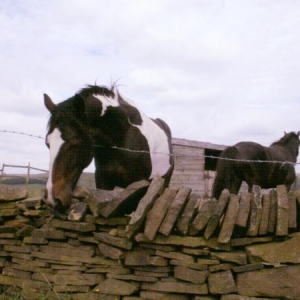 200610 3
