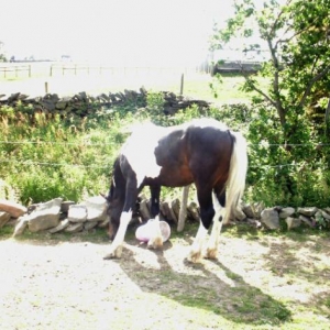200610 4