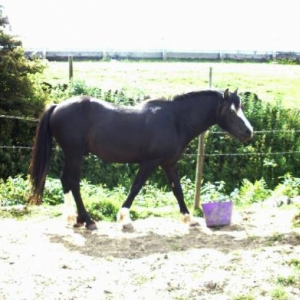 200610 5