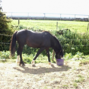 200610 6