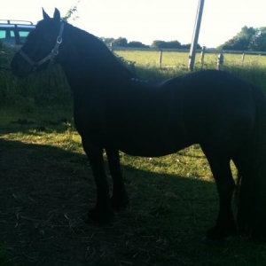 Eva june10
