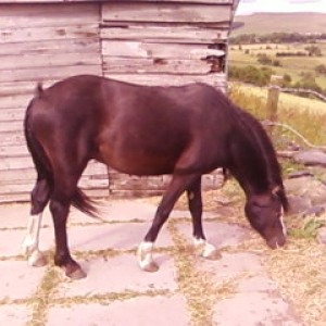 Still nibbling away LOL :)