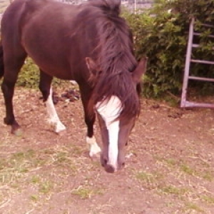Still being nosey!