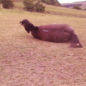 Having a roll part 2