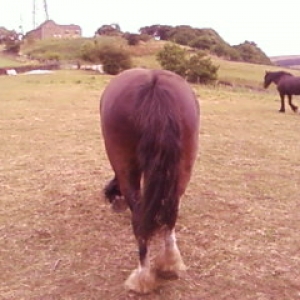 Does my bum look big :D