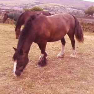 Munch time 2