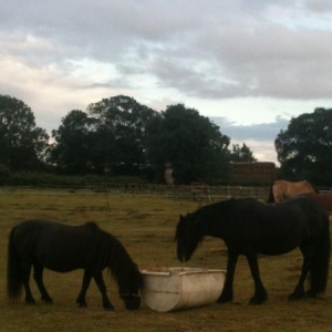 At the trough ;-)
