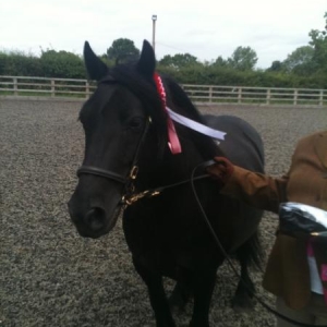 Eva first rosette best condition 18/7/2010 Luvs my little black pony.