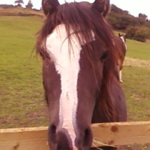 Here's looking at you :D