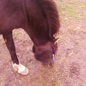 munching 1/8
