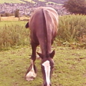 munching 4
