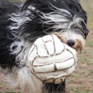 May enjoying a game with Dylans football.