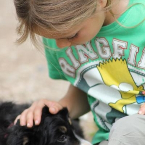 Hannah is a cat lover and usually a bit wary of strange dogs.  She was besotted with all three of them.