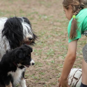 Shall we play ball?