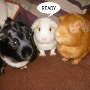 Group hug :D