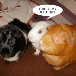 Togetherness
