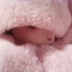 BonBon, Playing hide and seek :-)