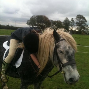 Love is...... A Fell Pony ;-)