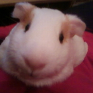 Cuddle time!
