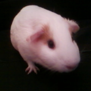 Poser 1