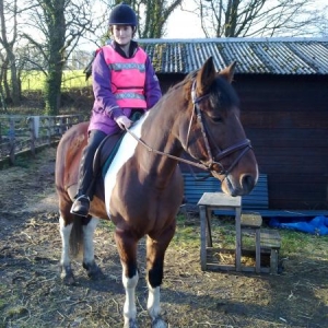 Rusty ready for action with his clip and his shiny new bridle