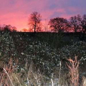 Sunrise at Thistledown